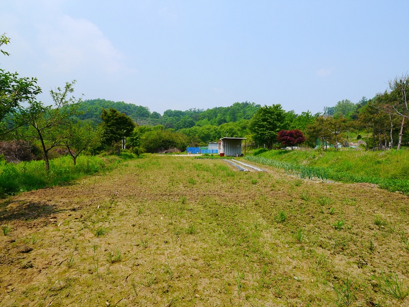 경기 양평군 강상면 - 남향에 토목공사가 완료된 전원주택지